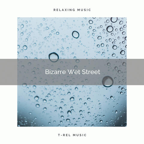 Bizarre Wet Street