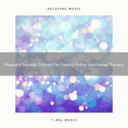 Sleepy Noise For Happy Mornings, Crowded Minds, And Complete New Approach