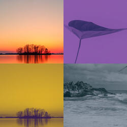 Relaxed - Visions