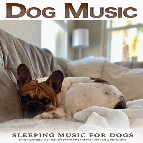 Dog Music: Sleeping Music For Dogs, Pet Music, Pet Relaxation and Soft Background Music For Dogs While You're Gone