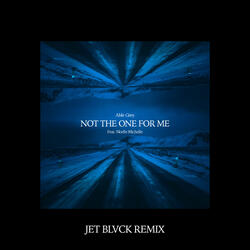 Not The One For Me (feat. NoelleMichelle)