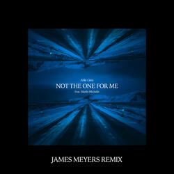 Not The One For Me (feat. NoelleMichelle)