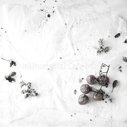 Breathtaking Dinner Parties