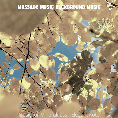 Music for Mindfulness - Elegant Koto