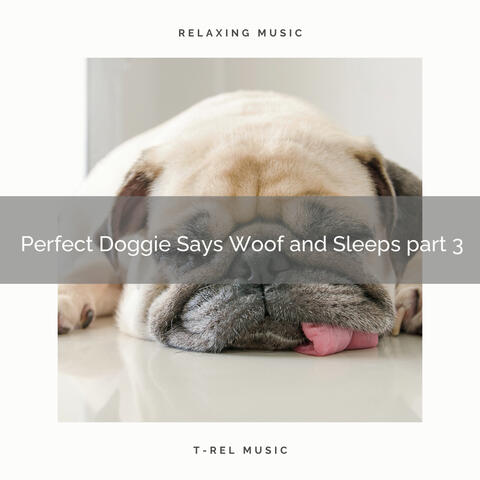 Perfect Doggie Says Woof and Sleeps part 3