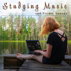 Relaxing Nature Music for Reading