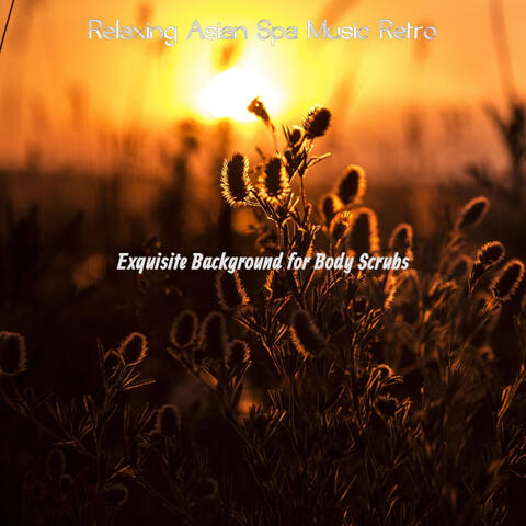 Exquisite Background for Body Scrubs