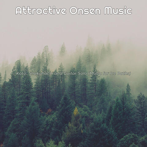 Koto, Shakuhachi and Guitar Solo (Music for Ice Baths)