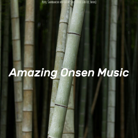 Koto, Shakuhachi and Guitar Solo (Music for Ice Baths)