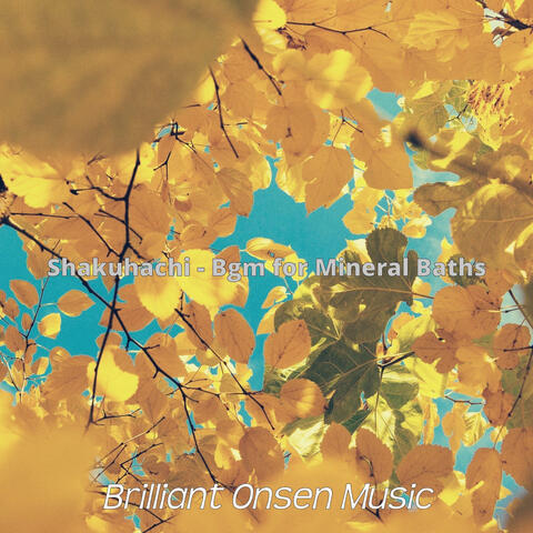 Shakuhachi - Bgm for Mineral Baths