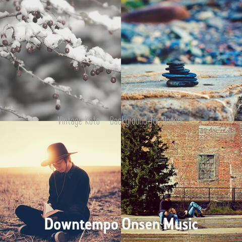 Vintage Koto - Background for Onsens