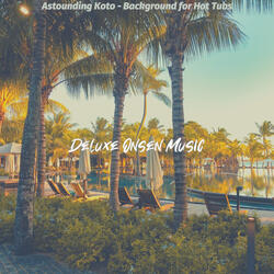 Deluxe Ambiance for Mineral Baths