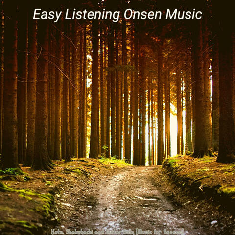 Koto, Shakuhachi and Guitar Solo (Music for Onsens)