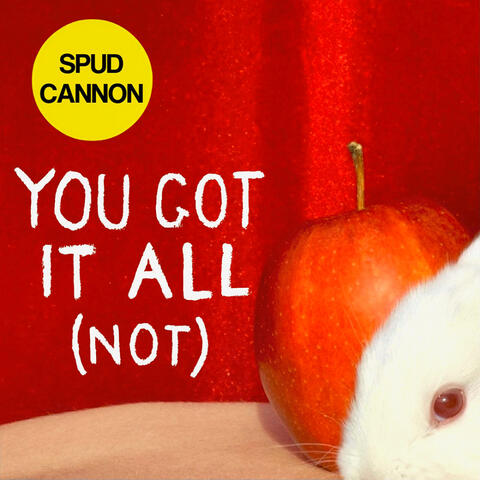 You Got It All (NOT)