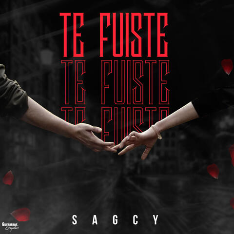 Te Fuiste