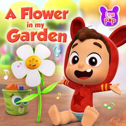 A flower in my garden