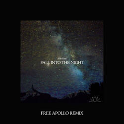 Fall Into The Night