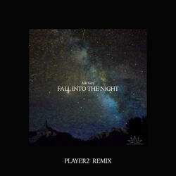 Fall Into The Night
