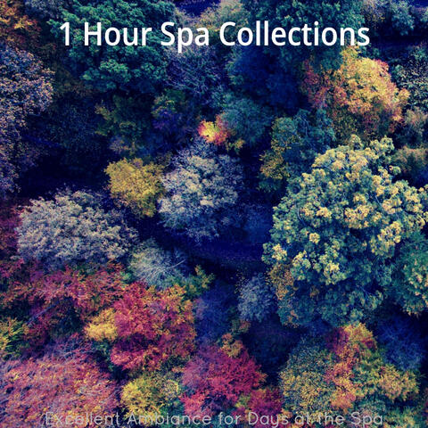 Excellent Ambiance for Days at the Spa