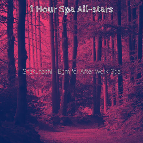 Shakuhachi - Bgm for After Work Spa