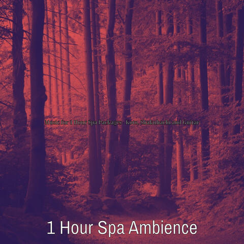 Music for 1 Hour Spa Packages - Koto, Shakuhachi and Guitar
