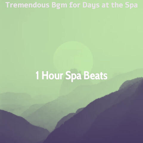 Tremendous Bgm for Days at the Spa