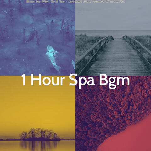 Music for After Work Spa - Laid-back Koto, Shakuhachi and Guitar