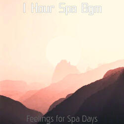 Outstanding Ambiance for Wellness Treatments