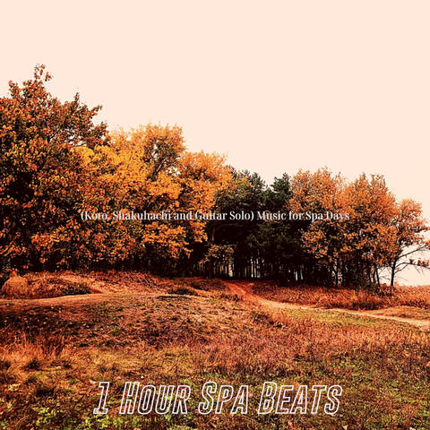 (Koto, Shakuhachi and Guitar Solo) Music for Spa Days