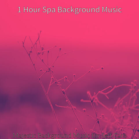 Majestic Background Music for Self Care