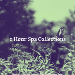 Majestic Ambiance for Wellness Treatments