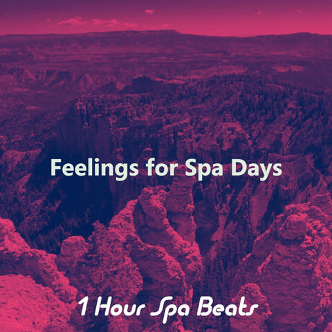 Feelings for Spa Days