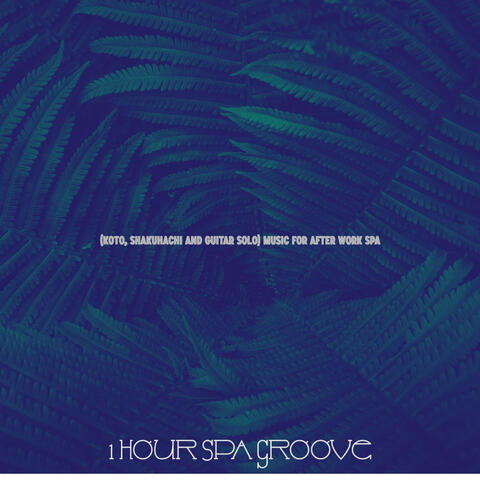 (Koto, Shakuhachi and Guitar Solo) Music for After Work Spa