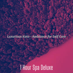 Tranquil Shakuhachi and Koto - Vibe for Days at the Spa