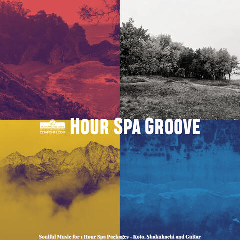 Soulful Music for 1 Hour Spa Packages - Koto, Shakuhachi and Guitar