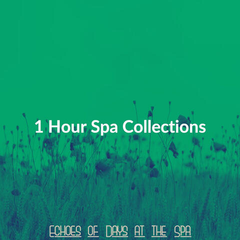 Echoes of Days at the Spa