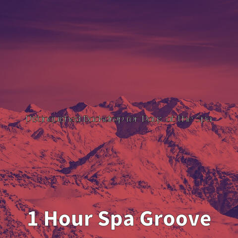 Distinguished Backdrop for Days at the Spa