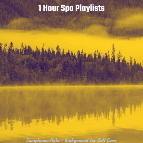 Sumptuous Koto - Background for Self Care