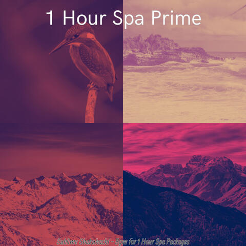 Sublime Shakuhachi - Bgm for 1 Hour Spa Packages