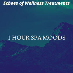 High Class Wellness Treatments