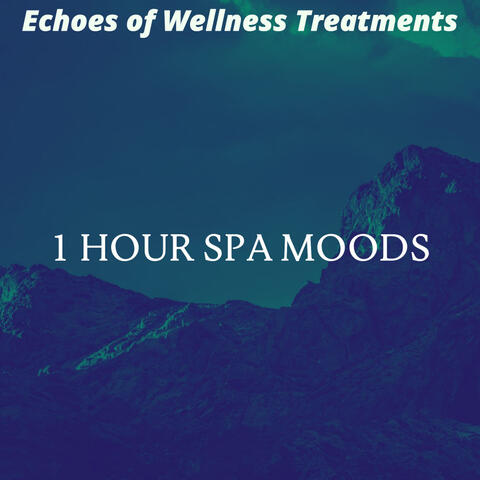 Echoes of Wellness Treatments