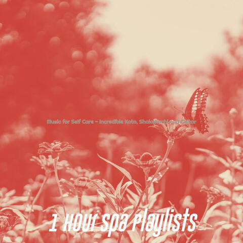 Music for Self Care - Incredible Koto, Shakuhachi and Guitar