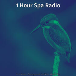 Smooth Moods for Days at the Spa