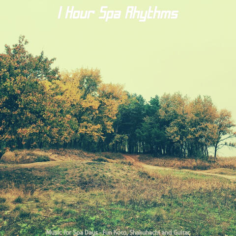 Music for Spa Days - Fun Koto, Shakuhachi and Guitar