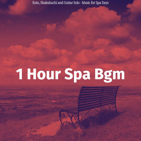 Koto, Shakuhachi and Guitar Solo - Music for Spa Days