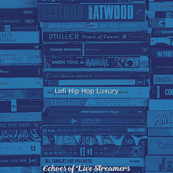 Subtle Ambiance for Streaming