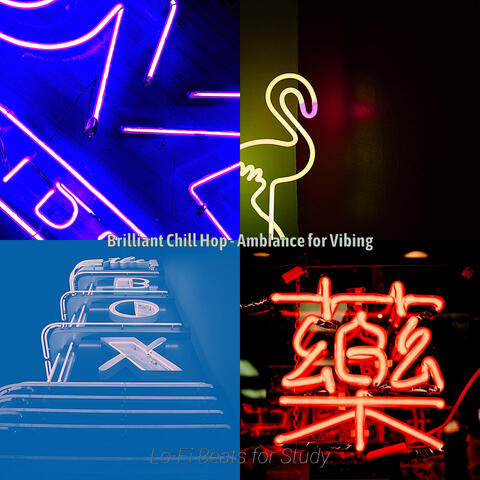 Brilliant Chill Hop - Ambiance for Vibing