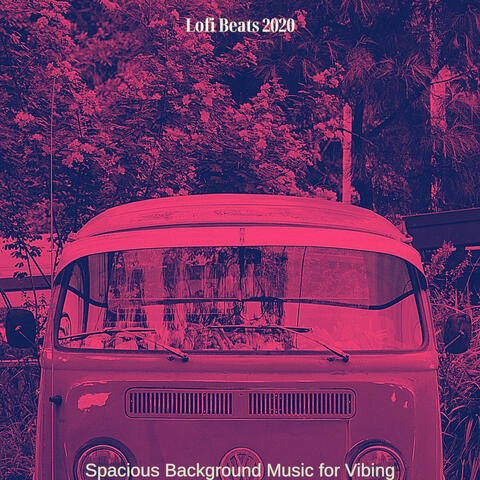 Spacious Background Music for Vibing