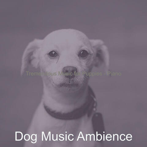 Tremendous Music for Puppies - Piano