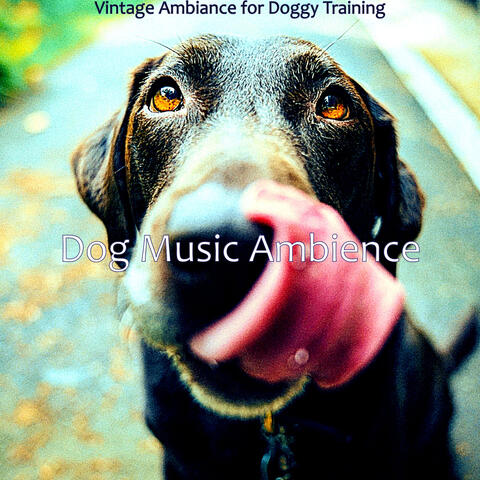 Vintage Ambiance for Doggy Training